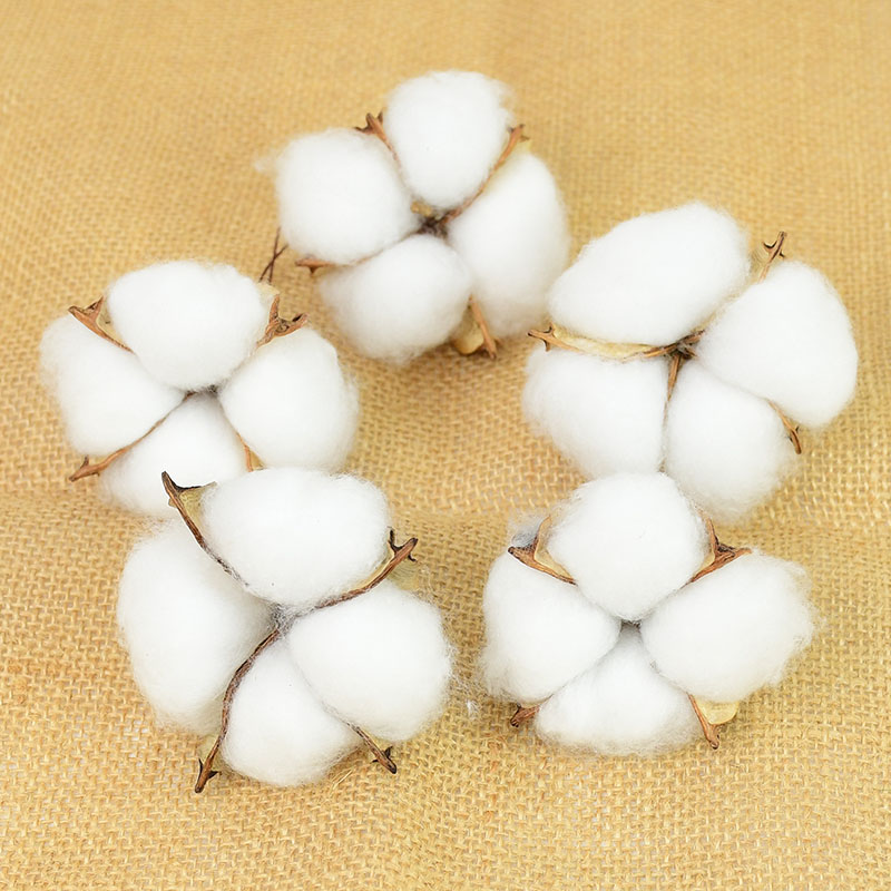 Florist Wreath Supply - 10Pcs 화이트 코튼 꽃집 용품 웨딩