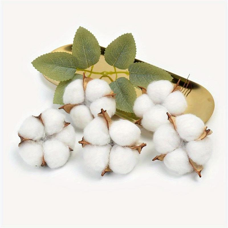 10Pcs 화이트 코튼 꽃집 용품 웨딩 자동차 장식 화 - Florist Wreath Supply 리뷰 및 가격