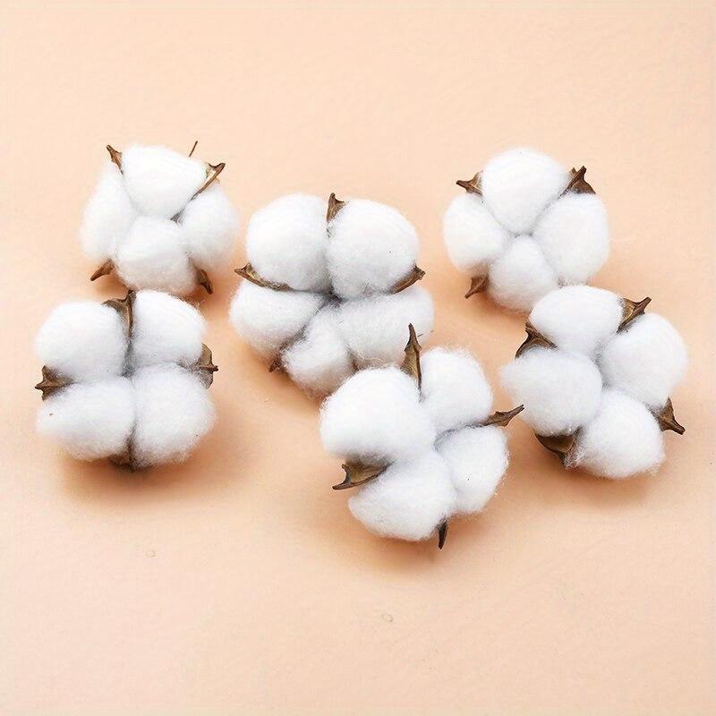 10Pcs 화이트 코튼 꽃집 용품 웨딩 자동차 장식 화 - Florist Wreath Supply 리뷰 및 가격