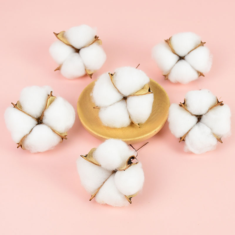 10Pcs 화이트 코튼 꽃집 용품 웨딩 자동차 장식 화 - Florist Wreath Supply 리뷰 및 가격